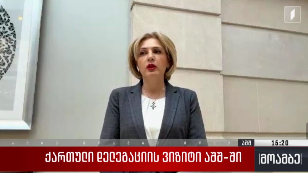 ქართული დელეგაციის ვიზიტი აშშ-ში