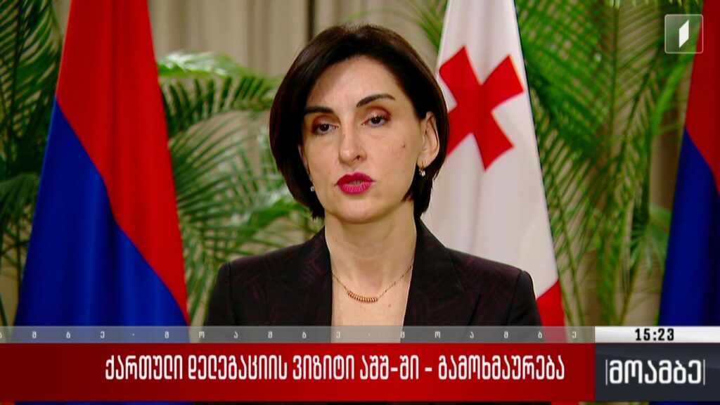 ქართული დელეგაციის ვიზიტი აშშ-ში – გამოხმაურება