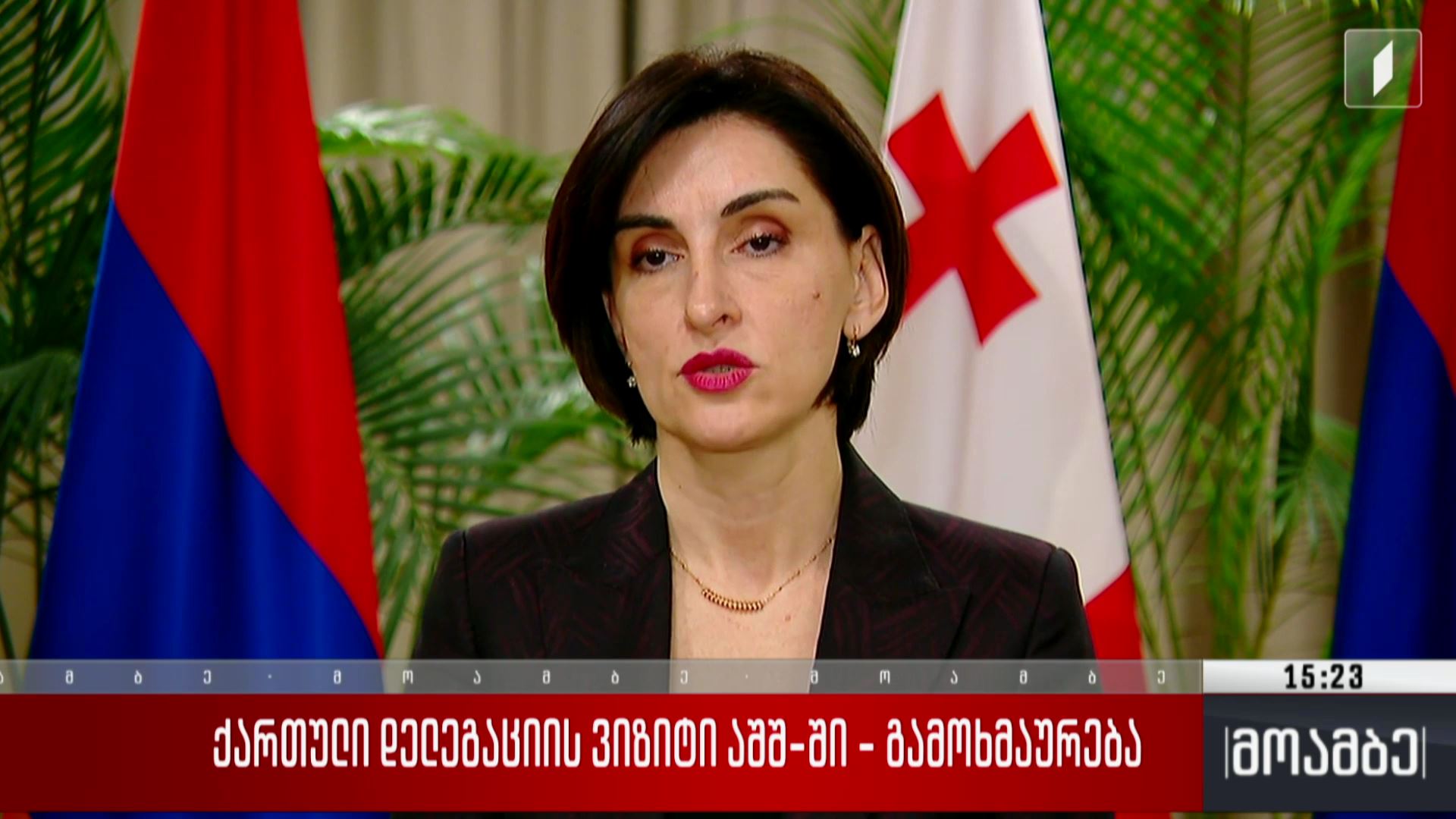 ქართული დელეგაციის ვიზიტი აშშ-ში - გამოხმაურება