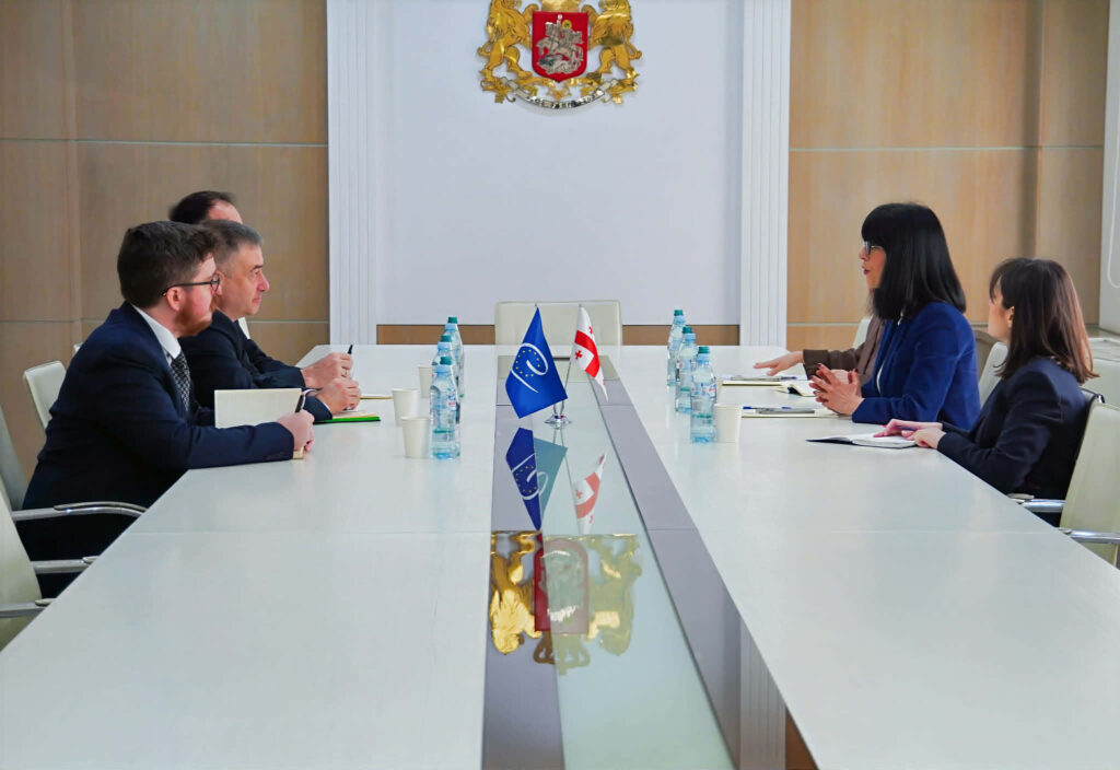 თეა ახვლედიანმა ევროპის საბჭოს დელეგაციის წევრებთან შეხვედრა გამართა
