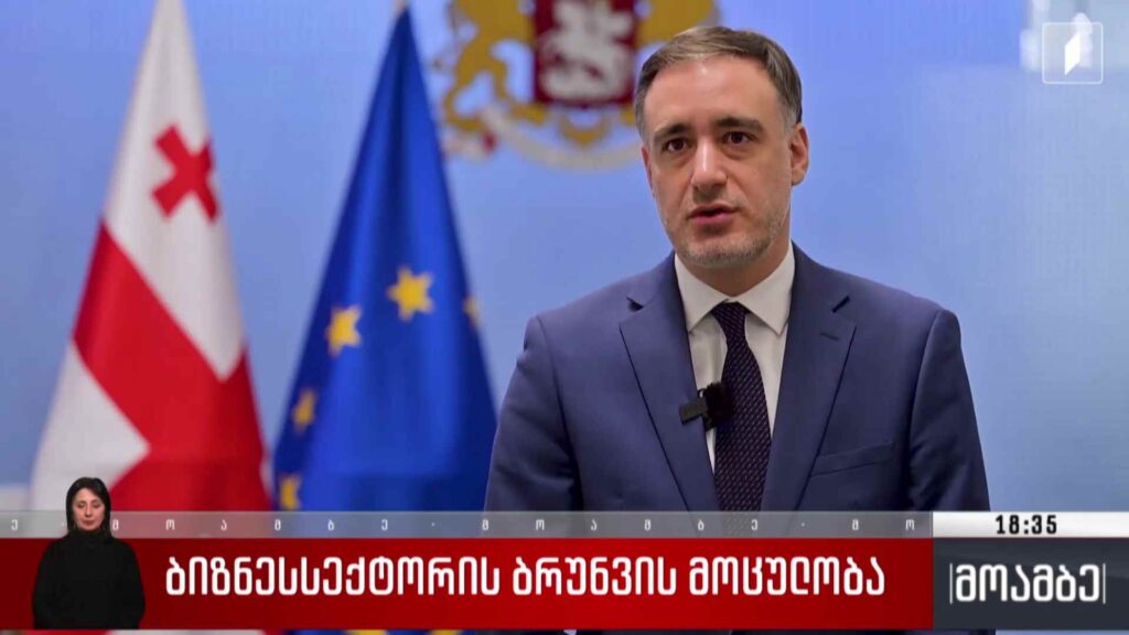 ბიზნესსექტორის ბრუნვის მოცულობა 