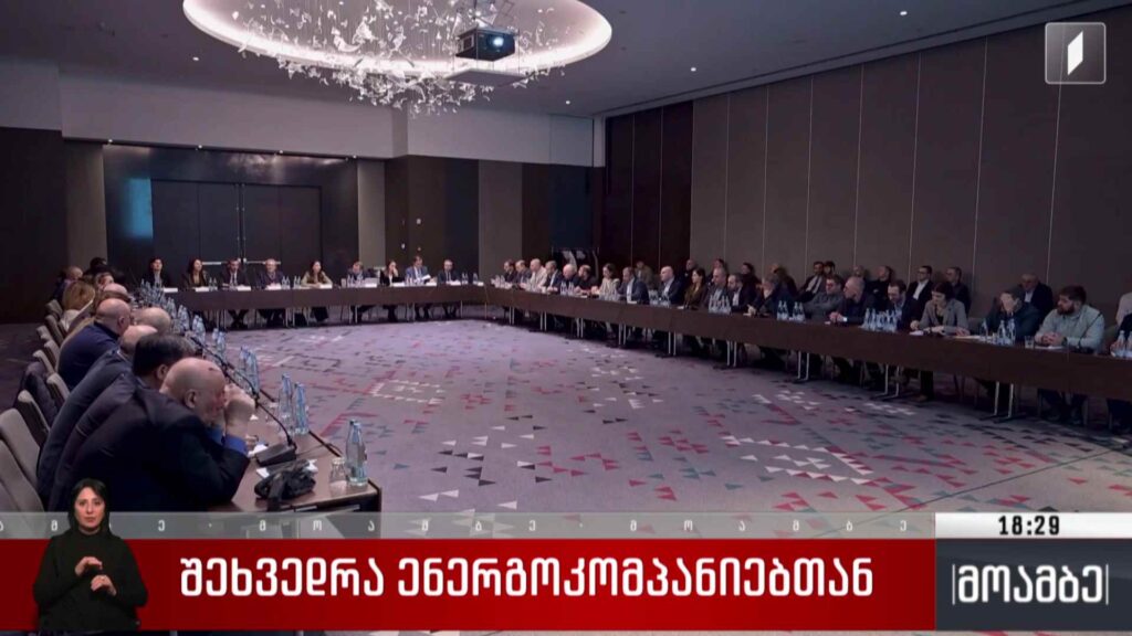შეხვედრა ენერგოკომპანიებთან