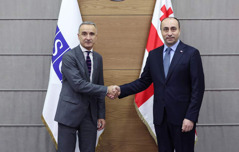 საქართველოს შინაგან საქმეთა მინისტრმა ეუთო-ს საპარლამენტო ასამბლეის პრეზიდენტთან შეხვედრა გამართა 