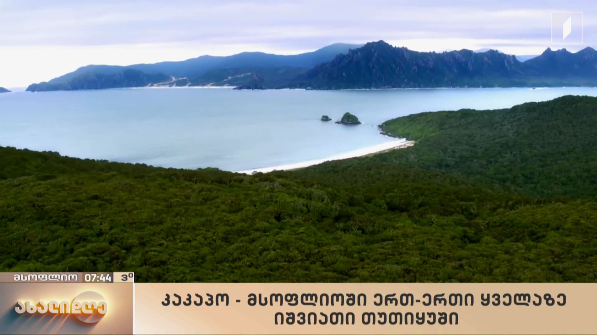 მსოფლიო ამბები