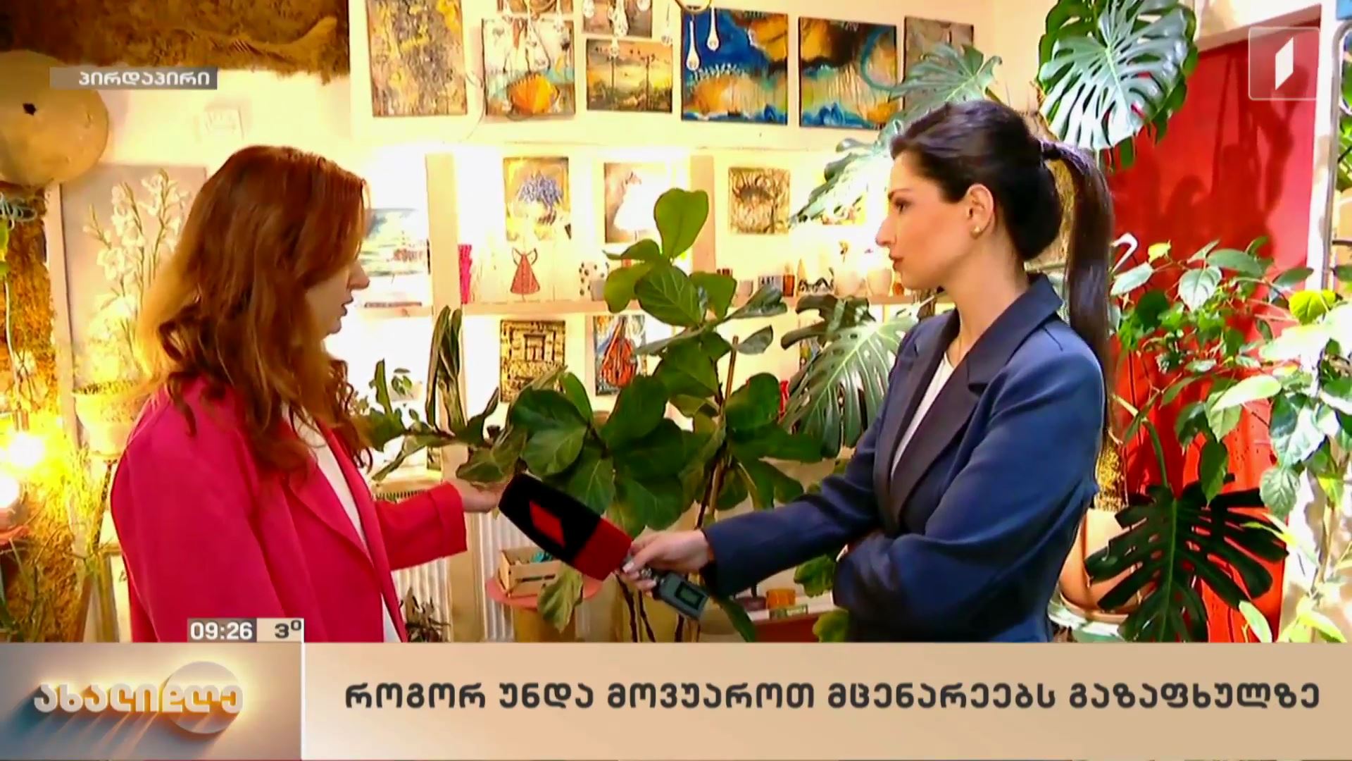როგორ მოვუაროთ მცენარეებს გაზაფხულზე