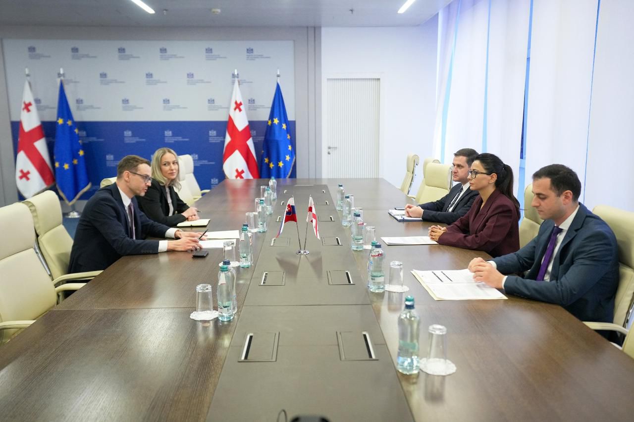 მარიამ ქვრივიშვილმა სლოვაკეთის ელჩთან ორი ქვეყნის სავაჭრო-ეკონომიკურ კავშირებზე ისაუბრა