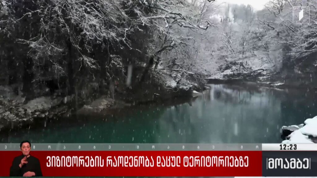 ვიზიტორების რაოდენობა დაცულ ტერიტორიებზე