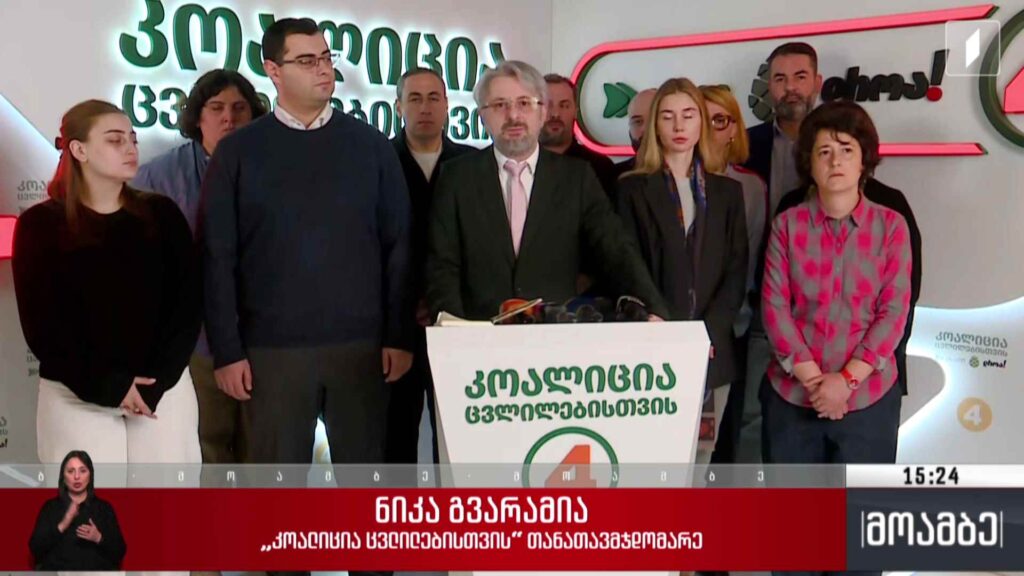 ელენე ხოშტარიას პატიმრობა შეეფარდა – გამოხმაურება