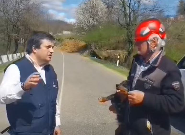 ტყიბულის სოფელ კურსების მეწყრული ზონიდან ცხოველები გამოიყვანეს [ვიდეო]