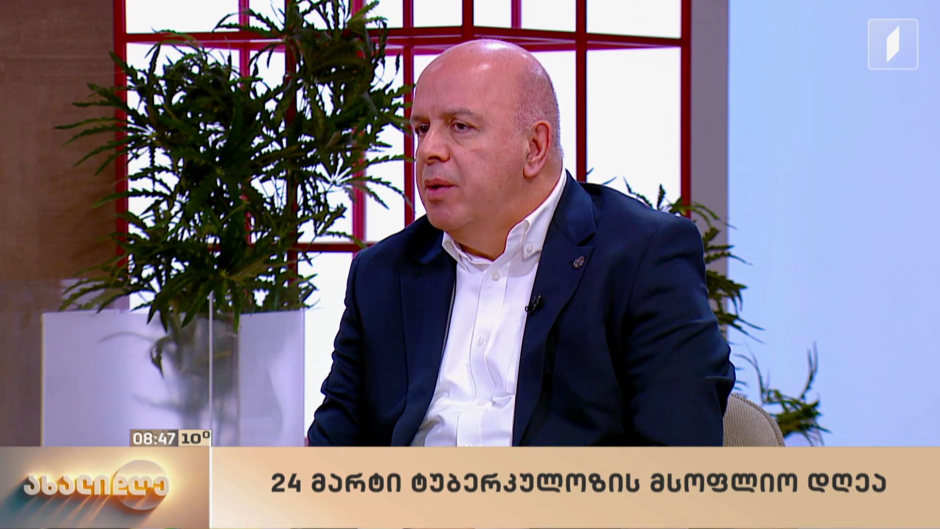 ექიმის რჩევები - 24 მარტი ტუბერკულოზის მსოფლიო დღეა