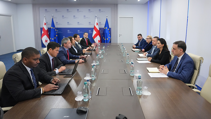 მარიამ ქვრივიშვილი საერთაშორისო სავალუტო ფონდის მისიას შეხვდა