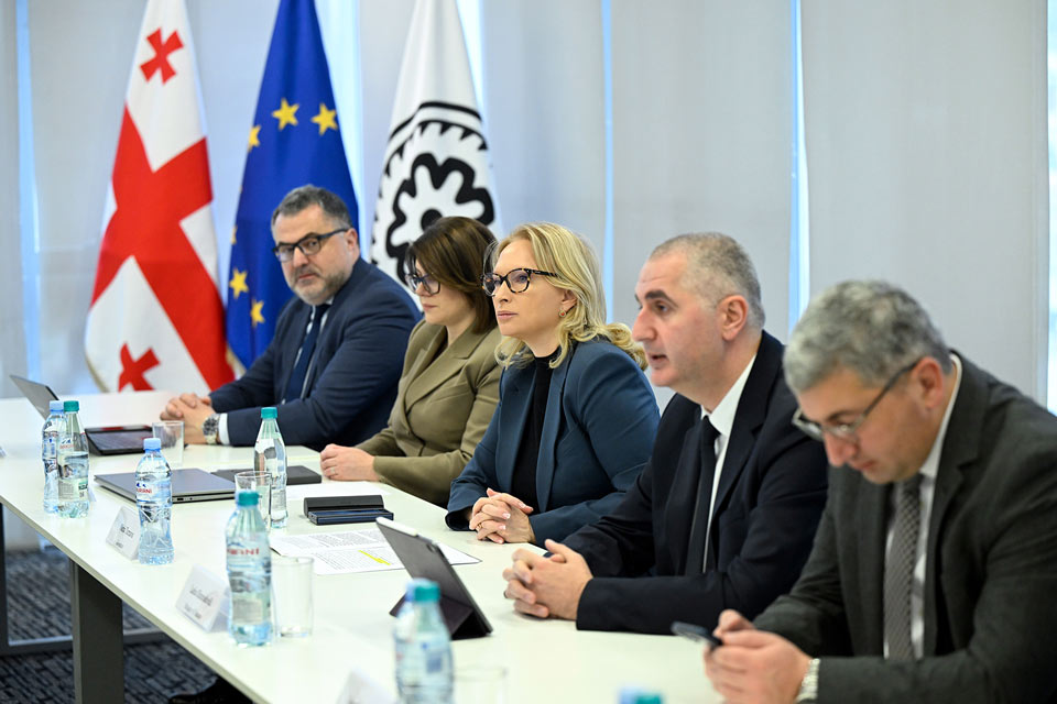 ნათია თურნავა და ლაშა ხუციშვილი ამერიკელ და ბრიტანელ ინვესტორთა დელეგაციას შეხვდნენ