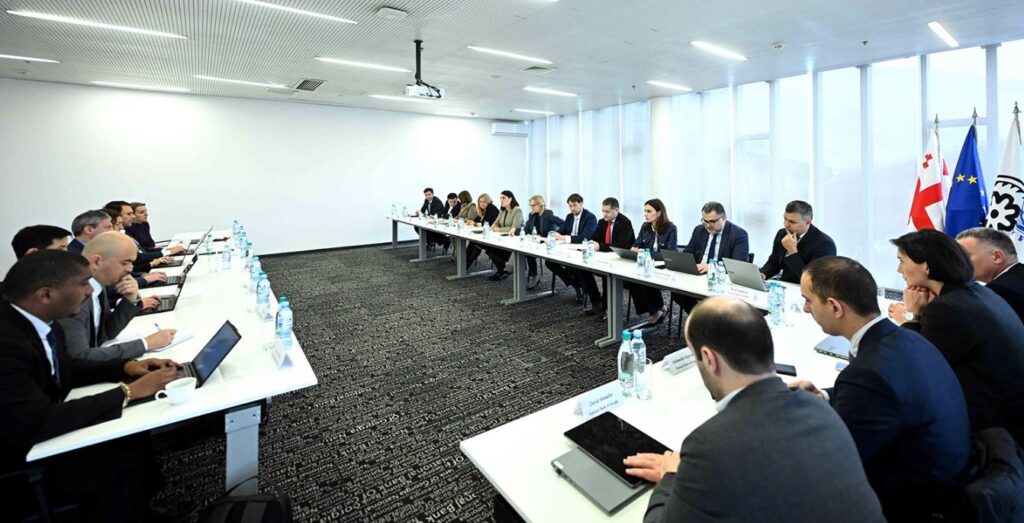 ნათია თურნავა საერთაშორისო სავალუტო ფონდის მისიას შეხვდა