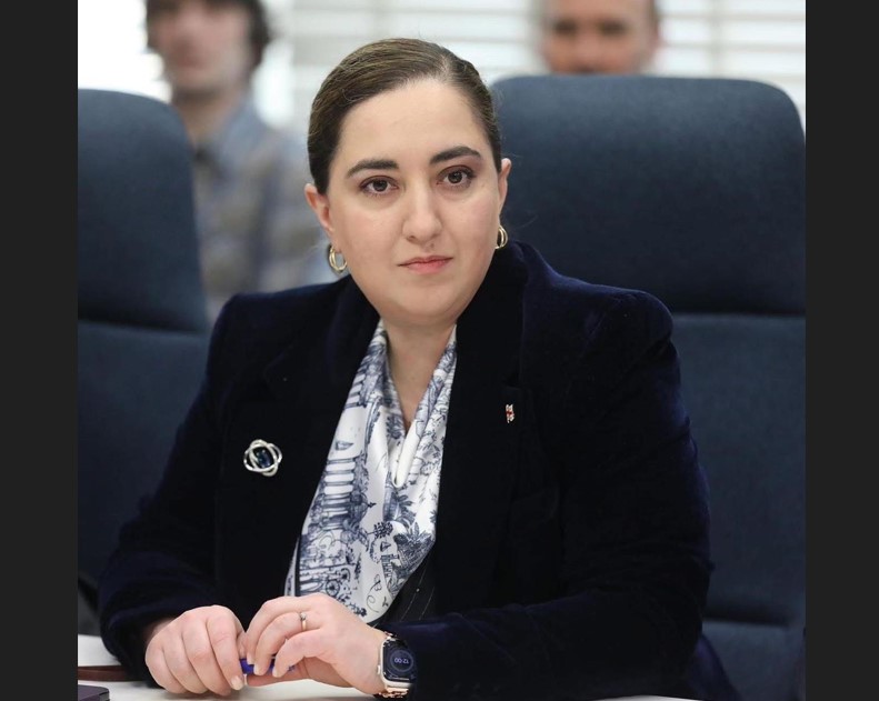ფინანსთა მინისტრის მოადგილე - ფუნდამენტური ფაქტორების მიმოხილვა, რაც მაკროეკონომიკურ და ფისკალურ სიჯანსაღეს განაპირობებს, ინვესტორებისთვის მნიშვნელოვანი მაჩვენებელია