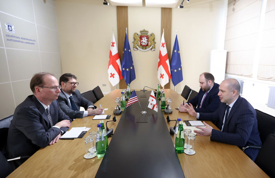 გივი მიქანაძემ საქართველოში აშშ-ის ელჩის მოვალეობის შემსრულებელთან სამუშაო შეხვედრა გამართა