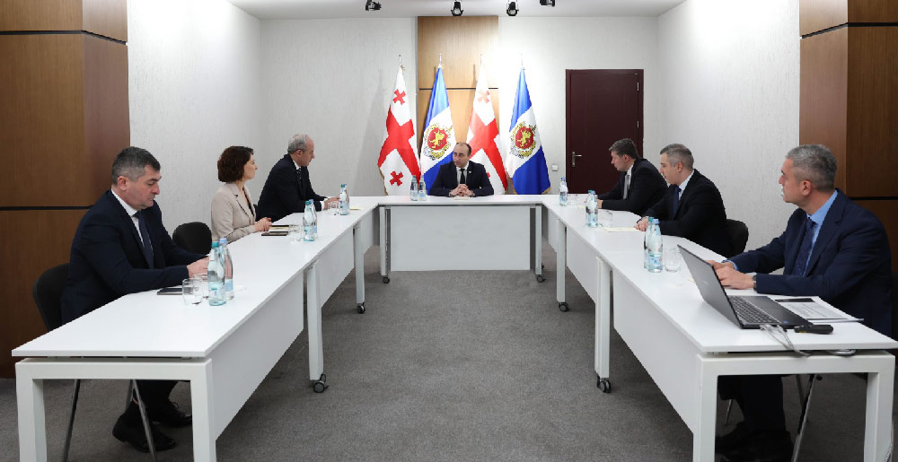 გეკა გელაძემ საზოგადოებრივი უსაფრთხოებისა და პოლიციის აკადემიაში სამუშაო შეხვედრა გამართა