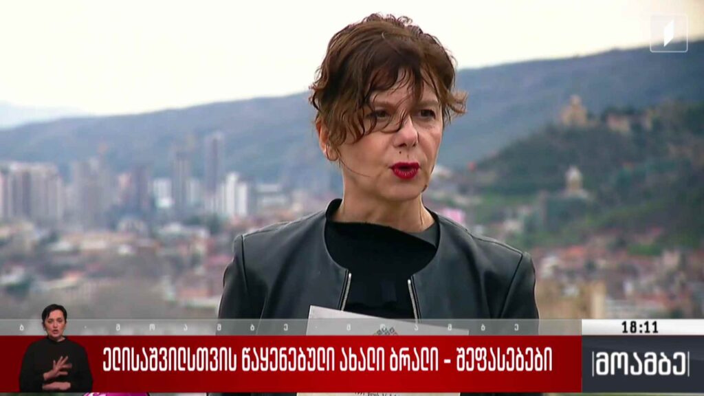 ელისაშვილისთვის წაყენებული ახალი ბრალი – შეფასებები
