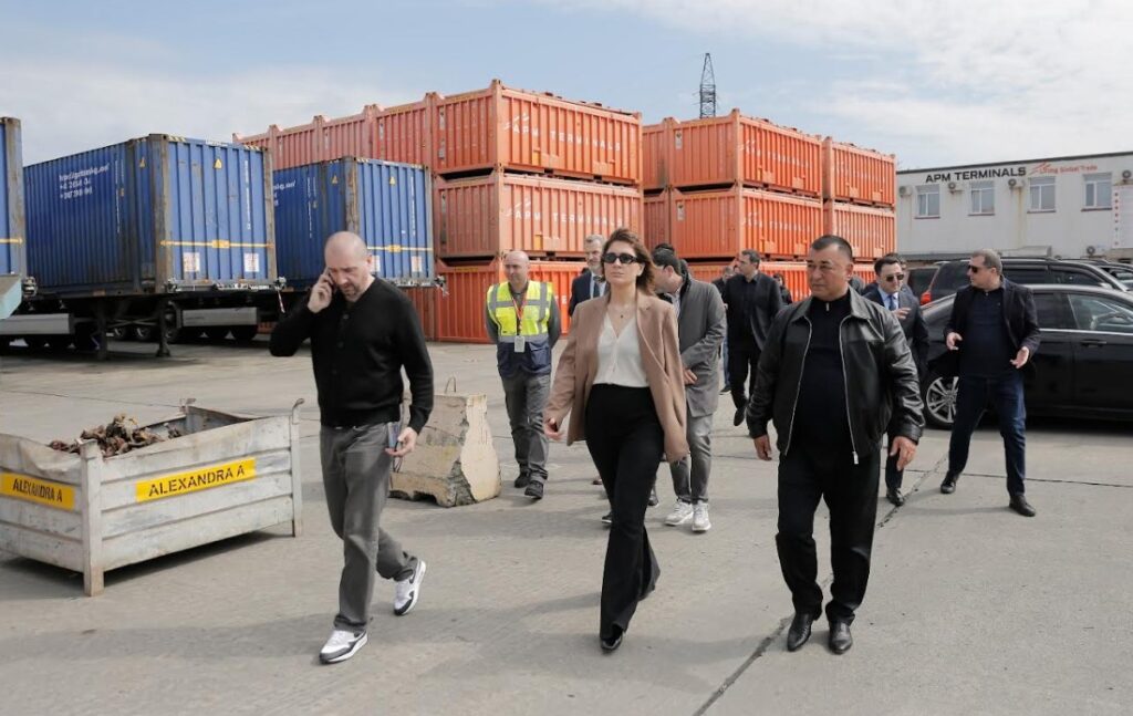 თამარ იოსელიანი - მჭიდროდ ვთანამშრომლობთ პარტნიორ ქვეყნებთან, მათ შორის თურქმენეთთან, რომ შუა დერეფანში ტვირთბრუნვა გაიზარდოს