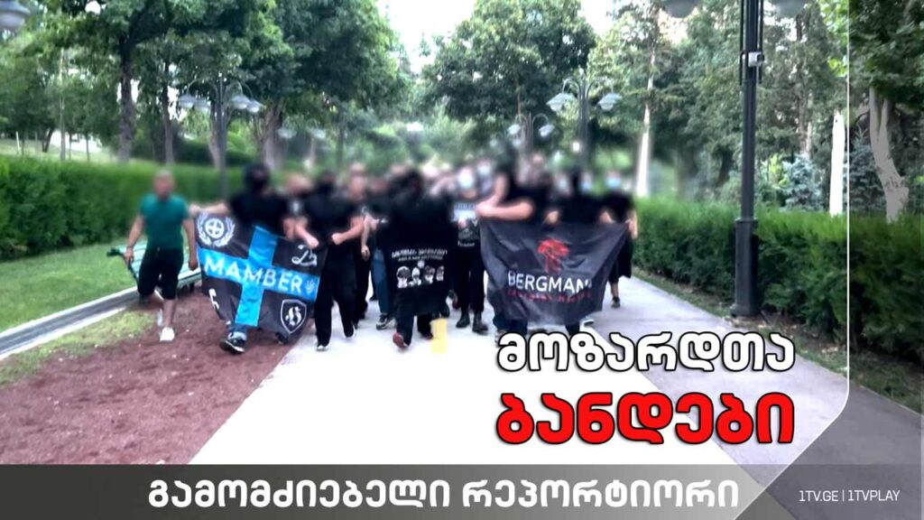 „მოზარდთა ბანდები. რა დანაშაულებს ახადა ფარდა გიგა ავალიანის მკვლელობამ?“ (18+)
