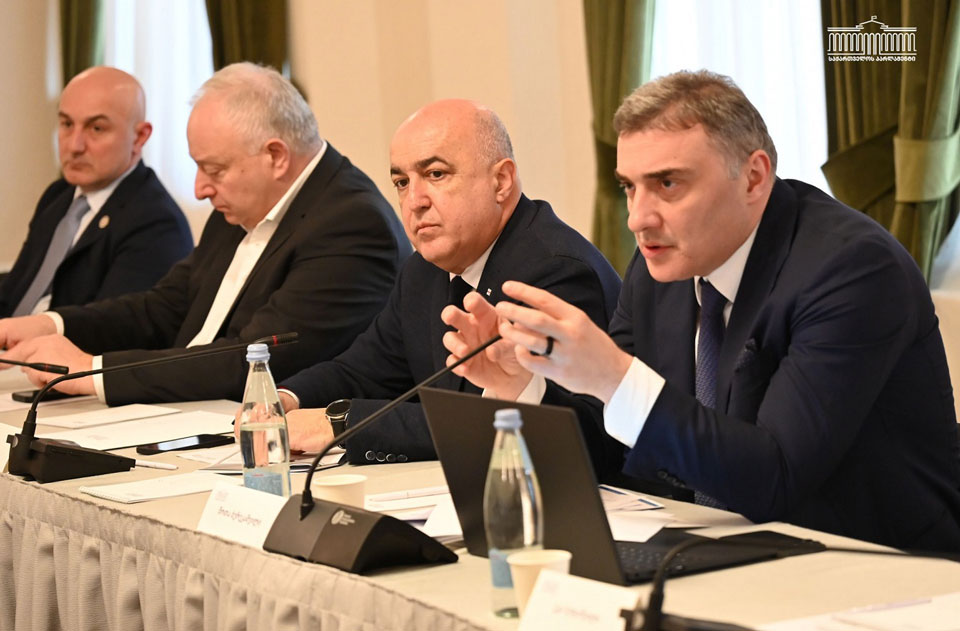 პარლამენტის დროებითი კომისიის სხდომაზე ფარმაცევტული კომპანიების წარმომადგენლებს მოუსმინეს