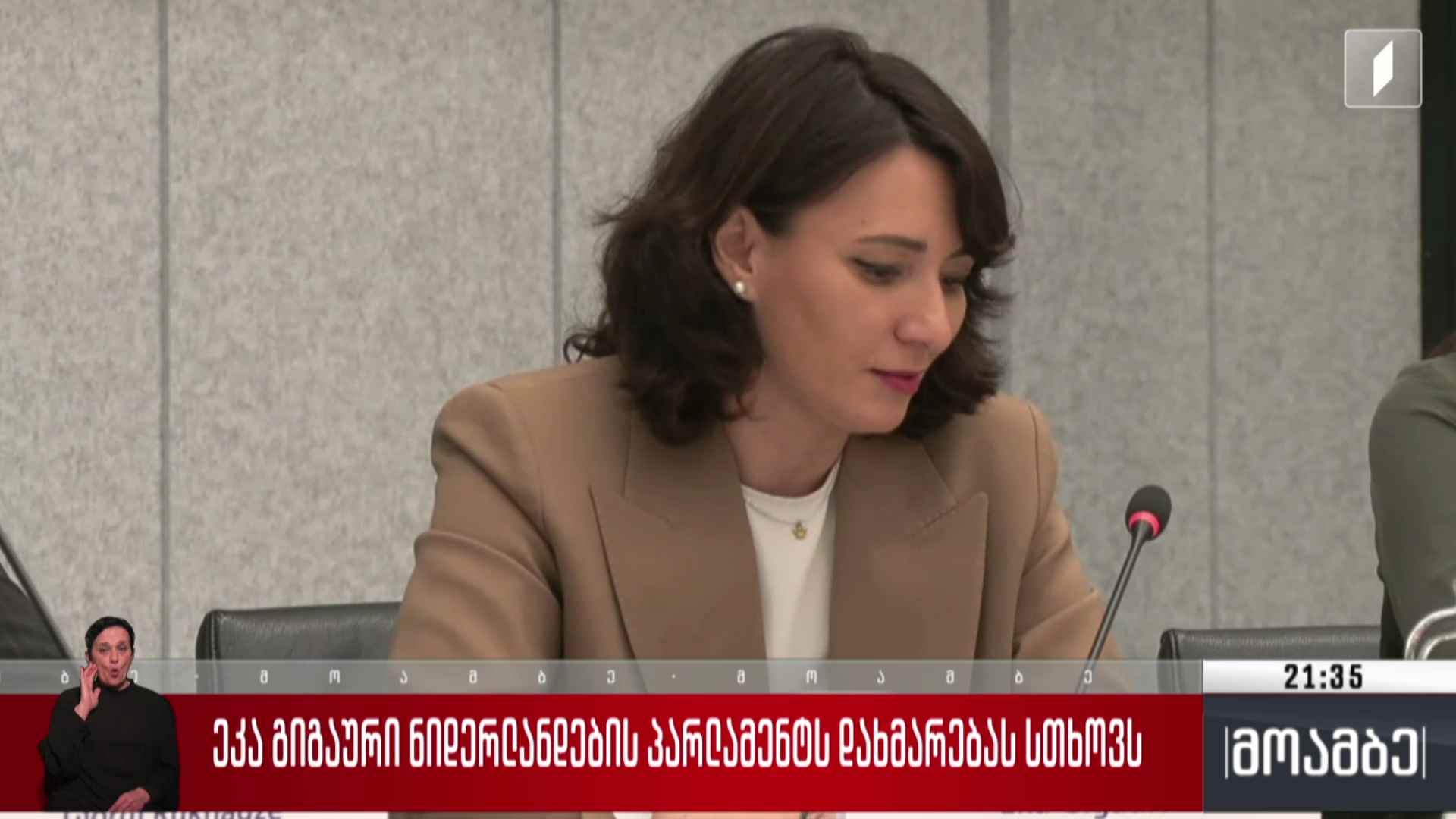 ეკა გიგაური  ნიდერლანდების პარლამენტს დახმარებას სთხოვს 