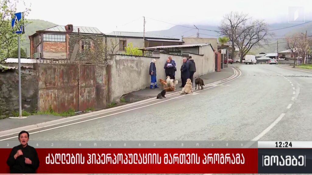 ძაღლების ჰიპერპოპულაციის მართვის პროგრამა