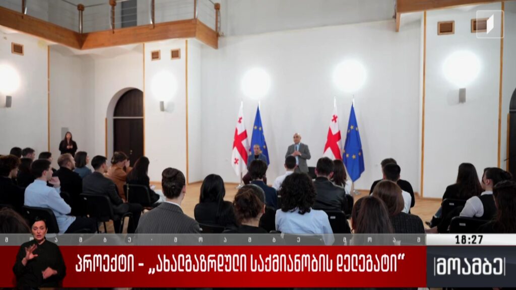 პროექტი – „ახალგაზრდული საქმიანობის დელეგატი“ 