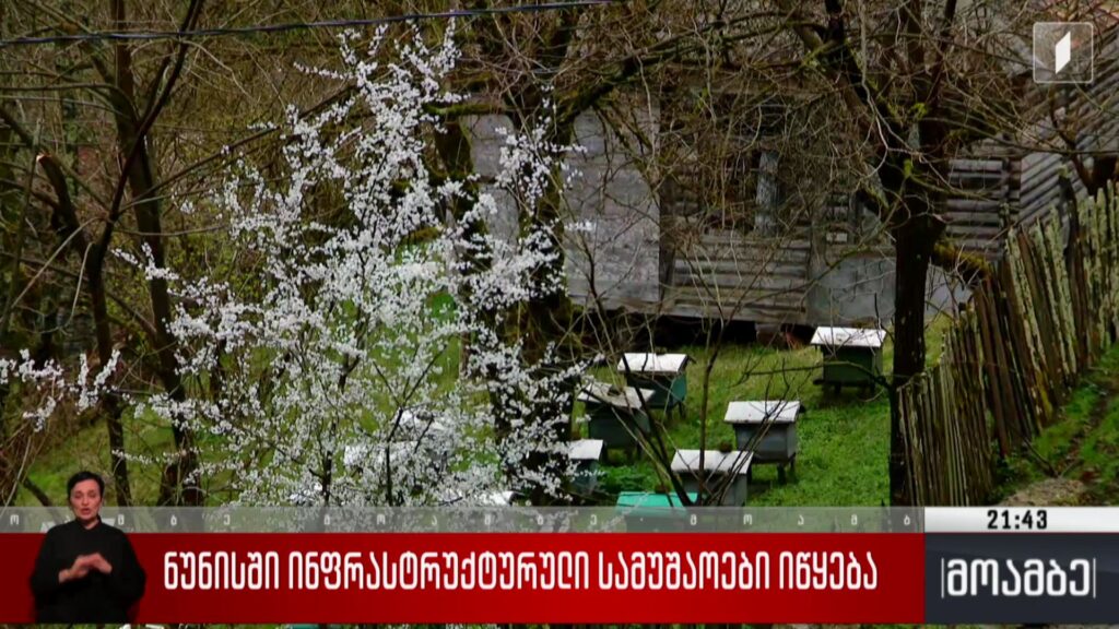 ნუნისში ინფრასტრუქტურული სამუშაოები იწყება