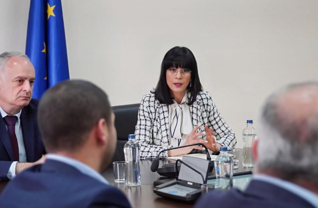 თეა ახვლედიანი სამცხე-ჯავახეთში ადგილობრივი ხელისუფლების წარმომადგენლებს შეხვდა