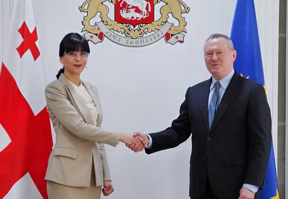 თეა ახვლედიანი ევროპის საბჭოს ადამიანის უფლებათა კომისარს შეხვდა