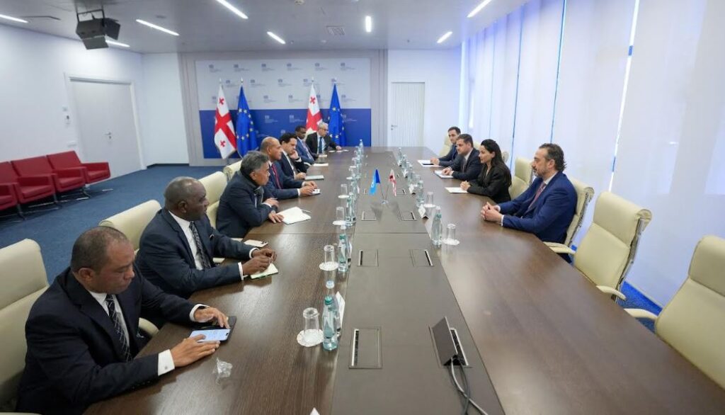მარიამ ქვრივიშვილი გაერო-სთან აკრედიტებულ მუდმივ წარმომადგენლებს შეხვდა
