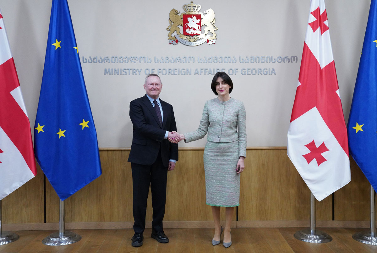 მაკა ბოჭორიშვილი ევროპის საბჭოს ადამიანის უფლებათა კომისარს, მაიკლ ო’ფლაერტის შეხვდა