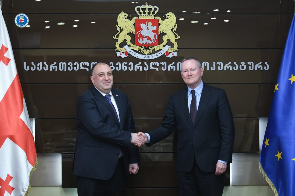 საქართველოს გენერალური პროკურორი თბილისში ოფიციალური ვიზიტით მყოფ ევროპის საბჭოს ადამიანის უფლებათა კომისარს შეხვდა