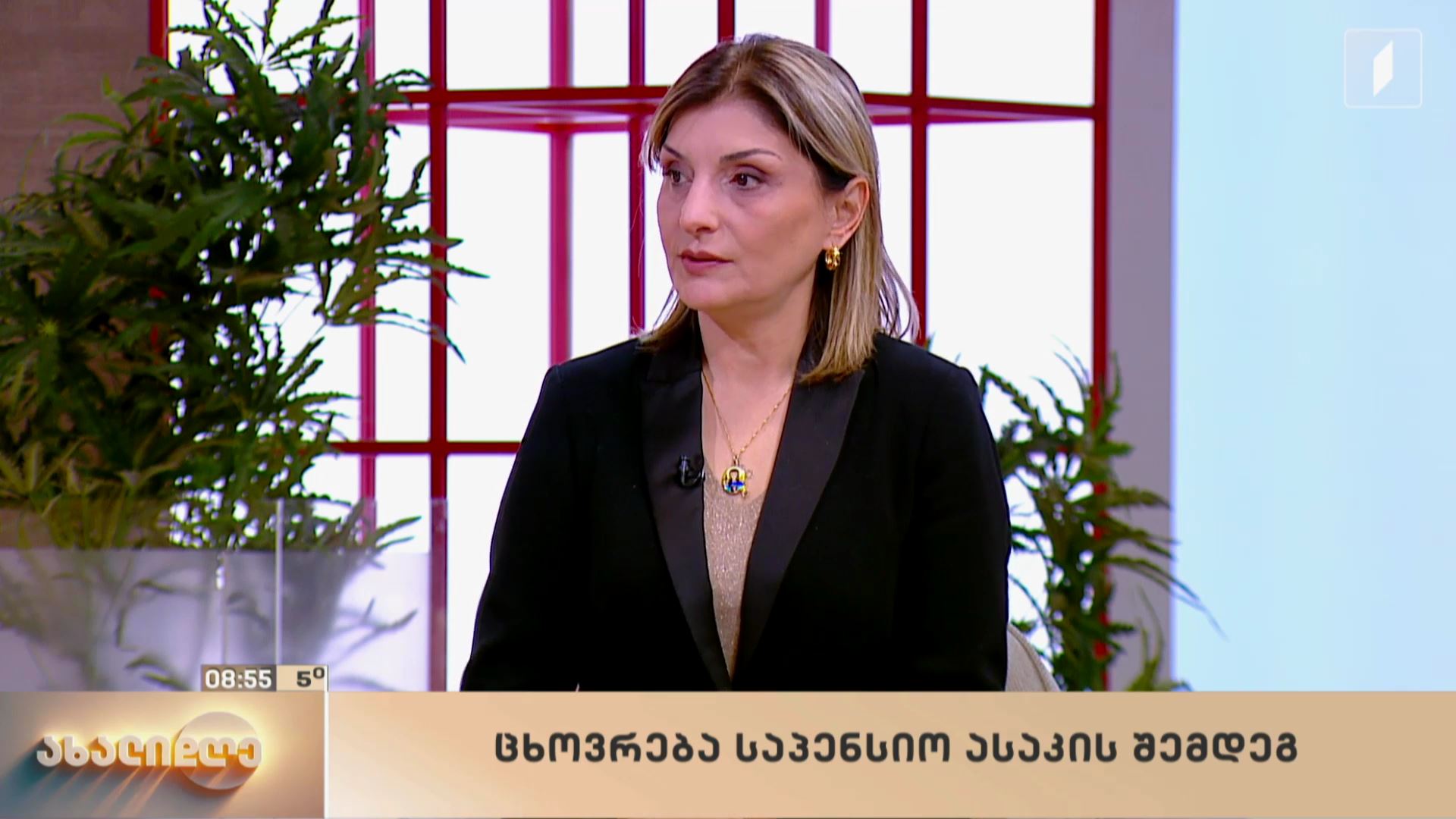 ცხოვრება საპენსიო ასაკის შემდეგ