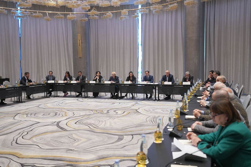 მარიამ ქვრივიშვილმა ენერგეტიკის დარგის მეცნიერებთან და ექსპერტებთან სექტორის განვითარების გეგმა განიხილა