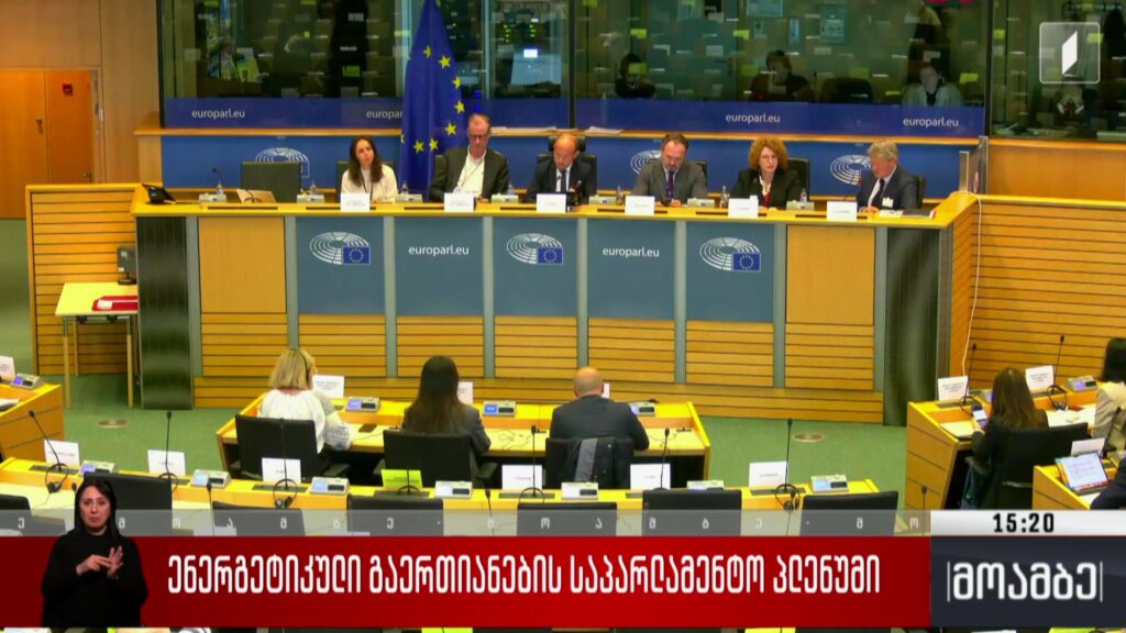 ენერგეტიკული გაერთიანების საპარლამენტო პლენუმი