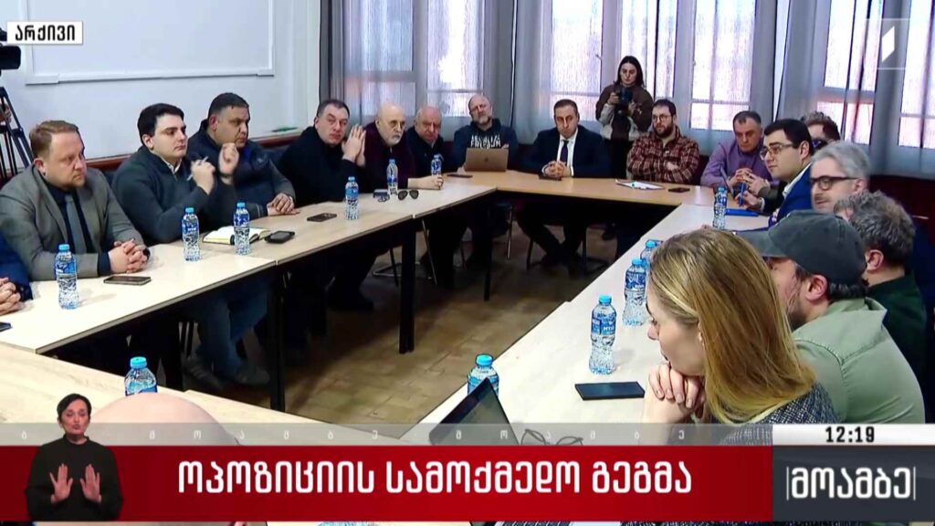 ოპოზიციის სამოქმედო გეგმა