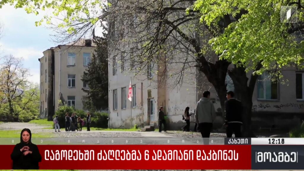 ლაგოდეხში ძაღლებმა ექვსი ადამიანი დაკბინეს
