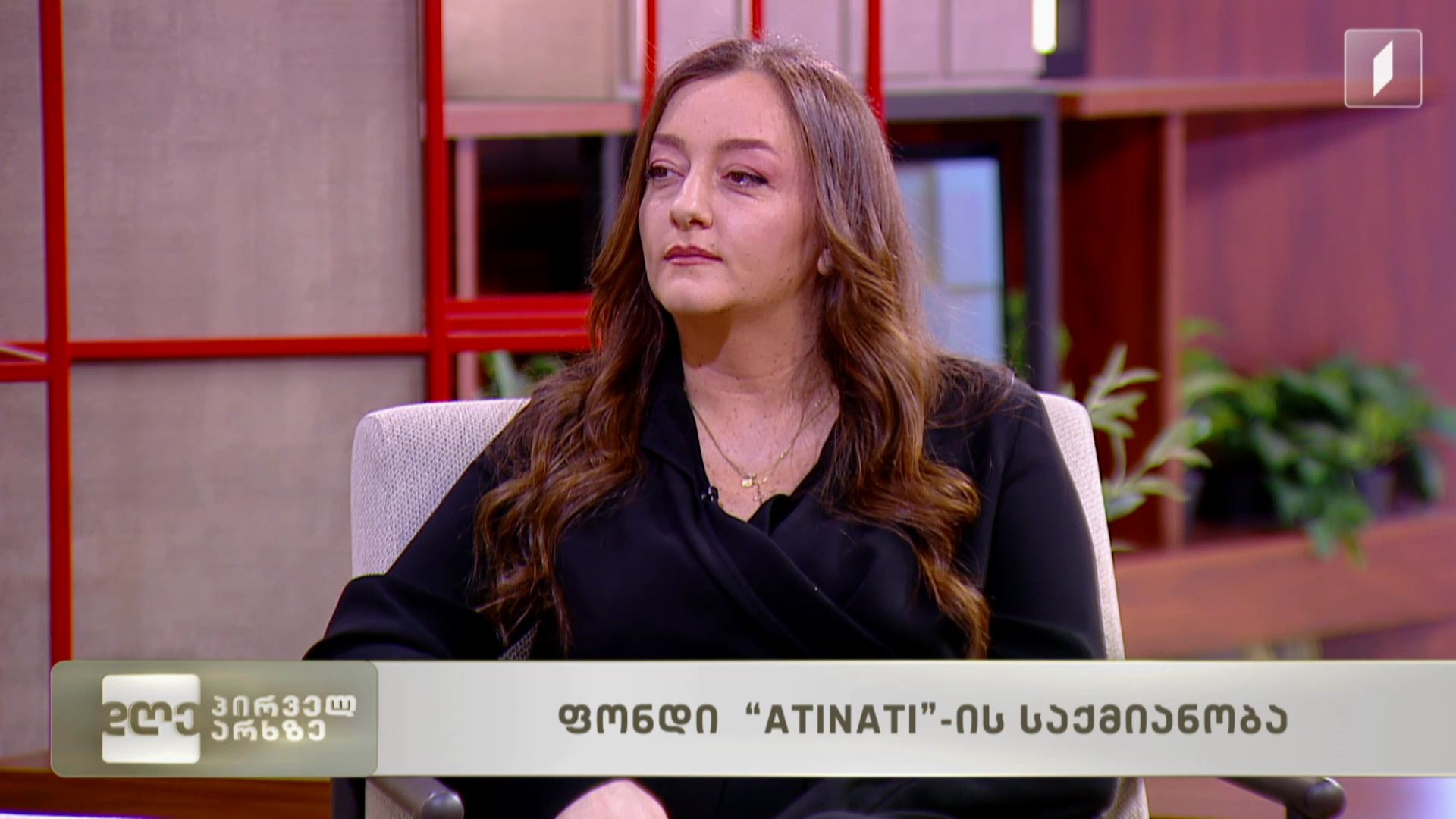 ფონდ ATINATI-ის საქმიანობა