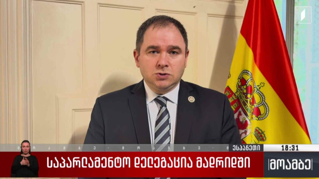 საპარლამენტო დელეგაცია მადრიდში