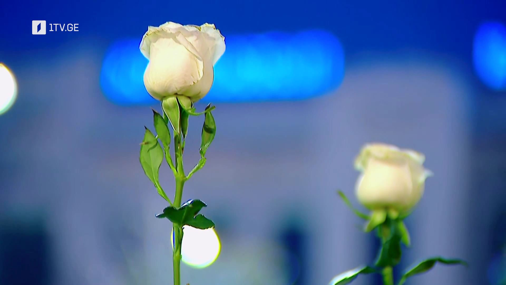 „საქართველო, მიყვარხარ!“ - ილია მეორე