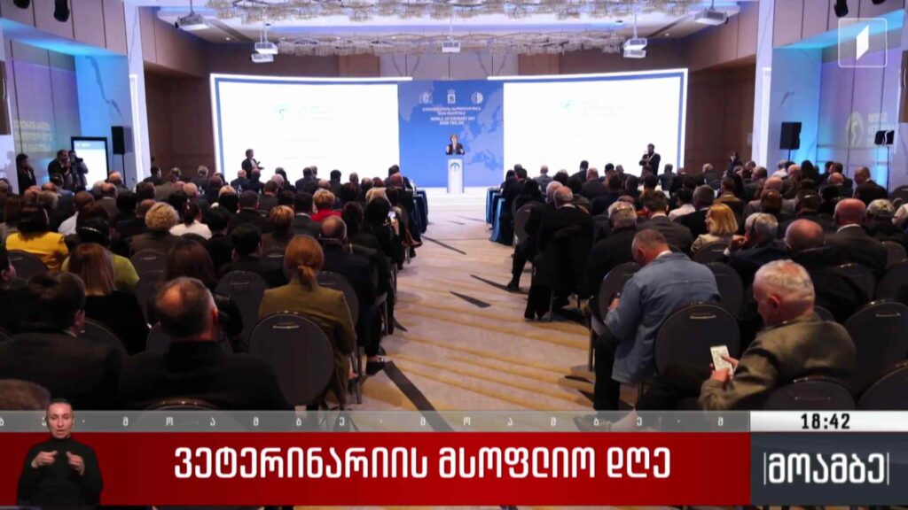 ვეტერინარიის მსოფლიო დღე