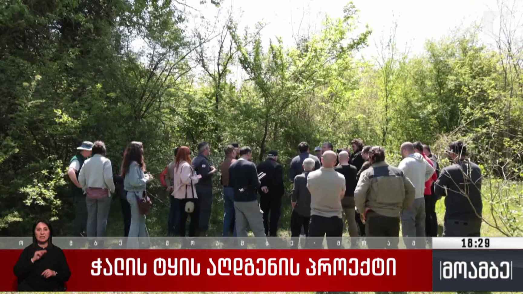 ჭალის ტყის აღდგენის პროექტი