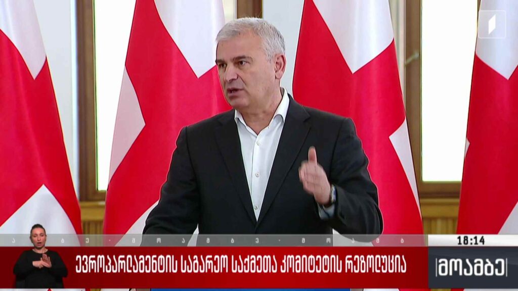ევროპარლამენტის საგარეო საქმეთა კომიტეტის რეზოლუცია – შეფასებები თბილისში
