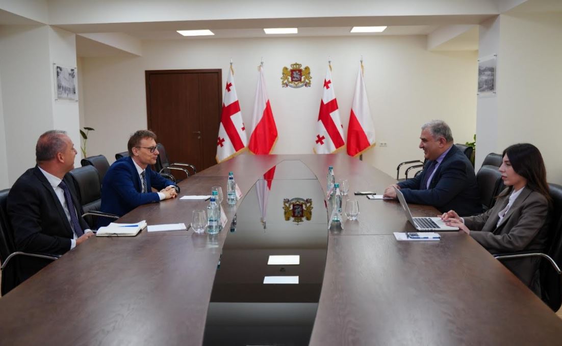 მიხეილ სარჯველაძე საქართველოში პოლონეთის საელჩოს მისიის ხელმძღვანელს, არტურ გებალს შეხვდა