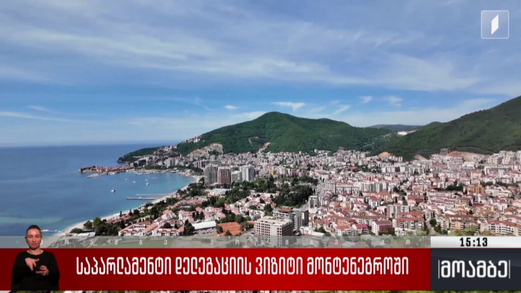 საპარლამენტო დელეგაციის ვიზიტი მონტენეგროში