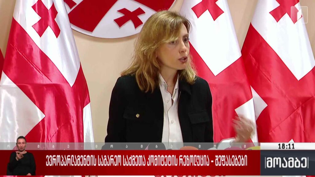 ევროპარლამენტის საგარეო საქმეთა კომიტეტის რეზოლუცია – შეფასებები