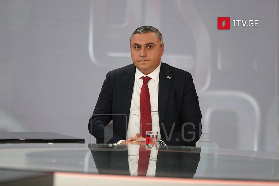 დავით მათიკაშვილი - ევროპარლამენტი უნდა იყოს უფლებების დაცვის სადარაჯოზე, ამის ნაცვლად, ვხედავთ მცდელობას, თავისუფალი სიტყვა ჩაახშონ დამოუკიდებელ სახელმწიფოში, ევრობიუროკრატია უმძიმეს ვითარებაშია