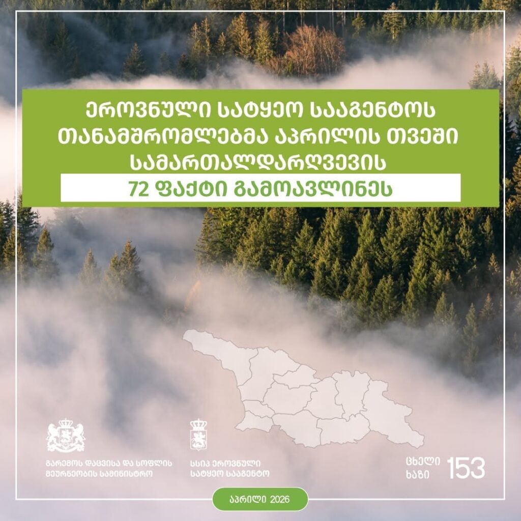 ეროვნული სატყეო სააგენტოს თანამშრომლებმა აპრილის თვეში ხე-ტყის უკანონო მოპოვებისა და ტრანსპორტირების 72 ფაქტი გამოავლინეს