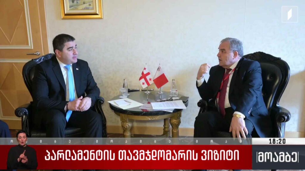 პარლამენტის თავმჯდომარის ვიზიტი 